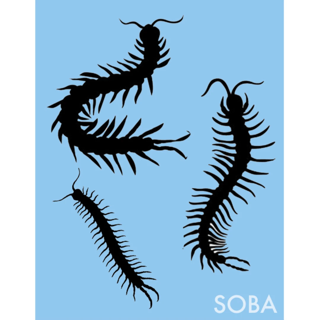 ProAiir QuickEZ Centipedes Sjabloon 1 ProAiir QuickEZ Centipedes Sjabloon