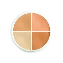 Ben Nye Conceal-All Wheel (compact)