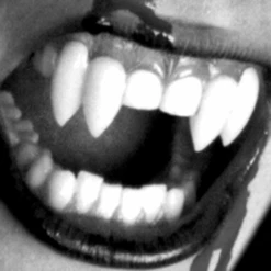 Scarecrow Shredder Double Vampire Fangs | Vampiertanden -Halloween Cosmetica scarecrow shredder double vampire fangs vampiertanden