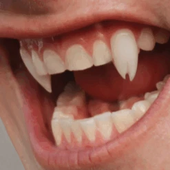 Scarecrow Viper Split Deluxe Vampire Fangs | Vampiertanden -Halloween Cosmetica scarecrow viper split deluxe vampire fangs vampiertanden20b41